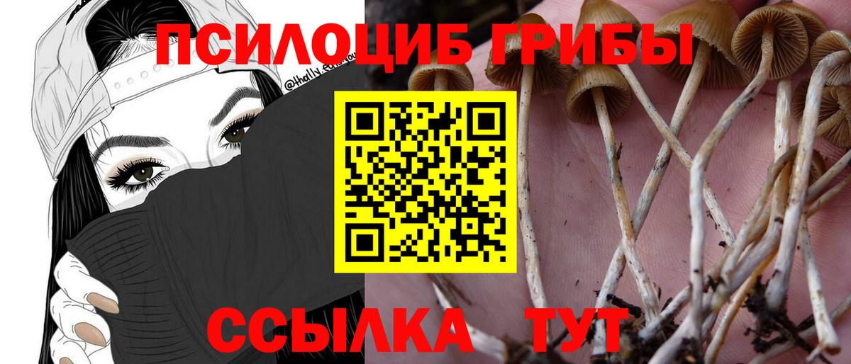 Псилоцибиновые грибы Magic Shrooms Владикавказ